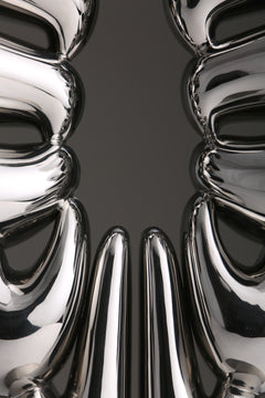 Duality of Life, studio photograph, view 2