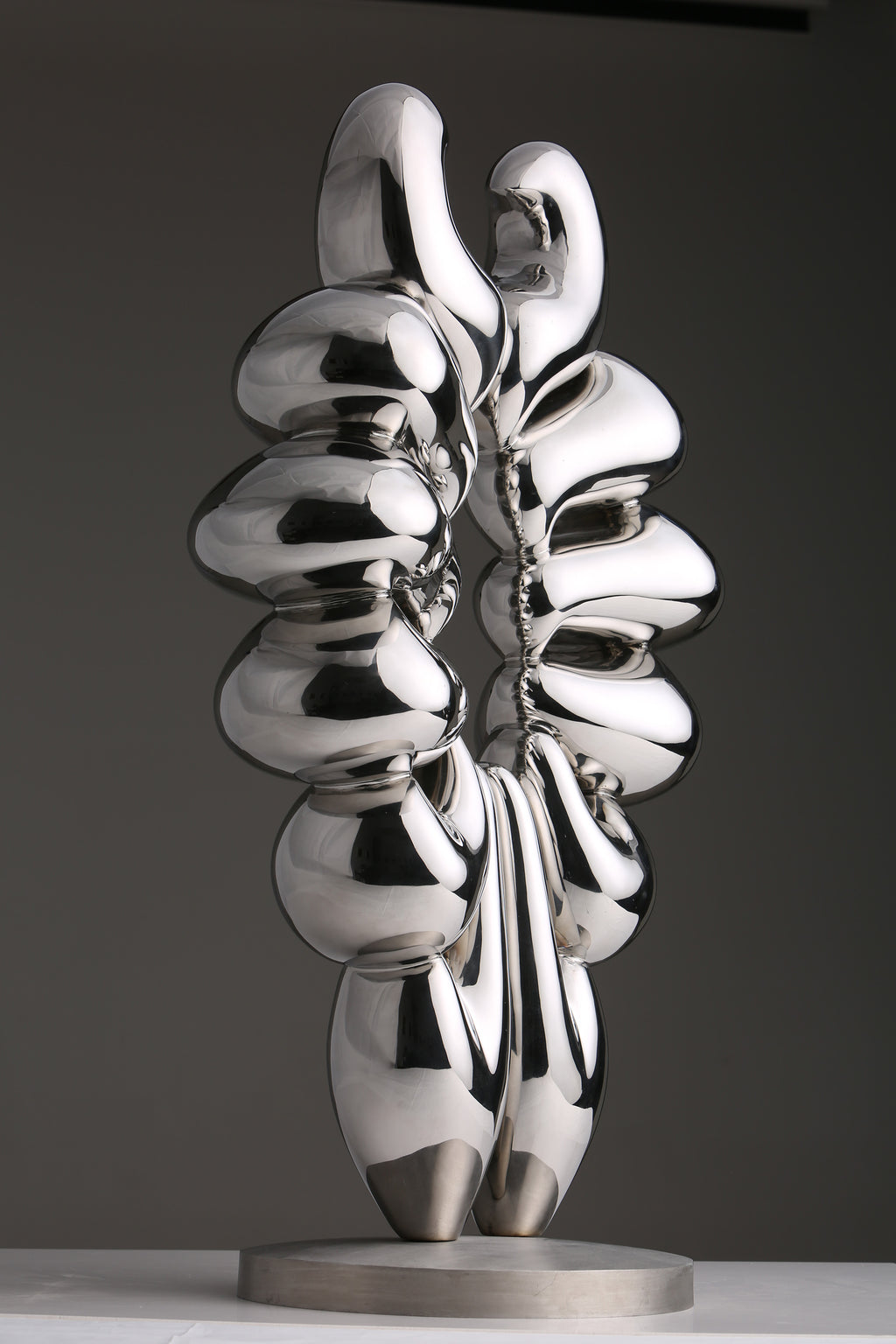 Duality of Life, studio photograph, view 3