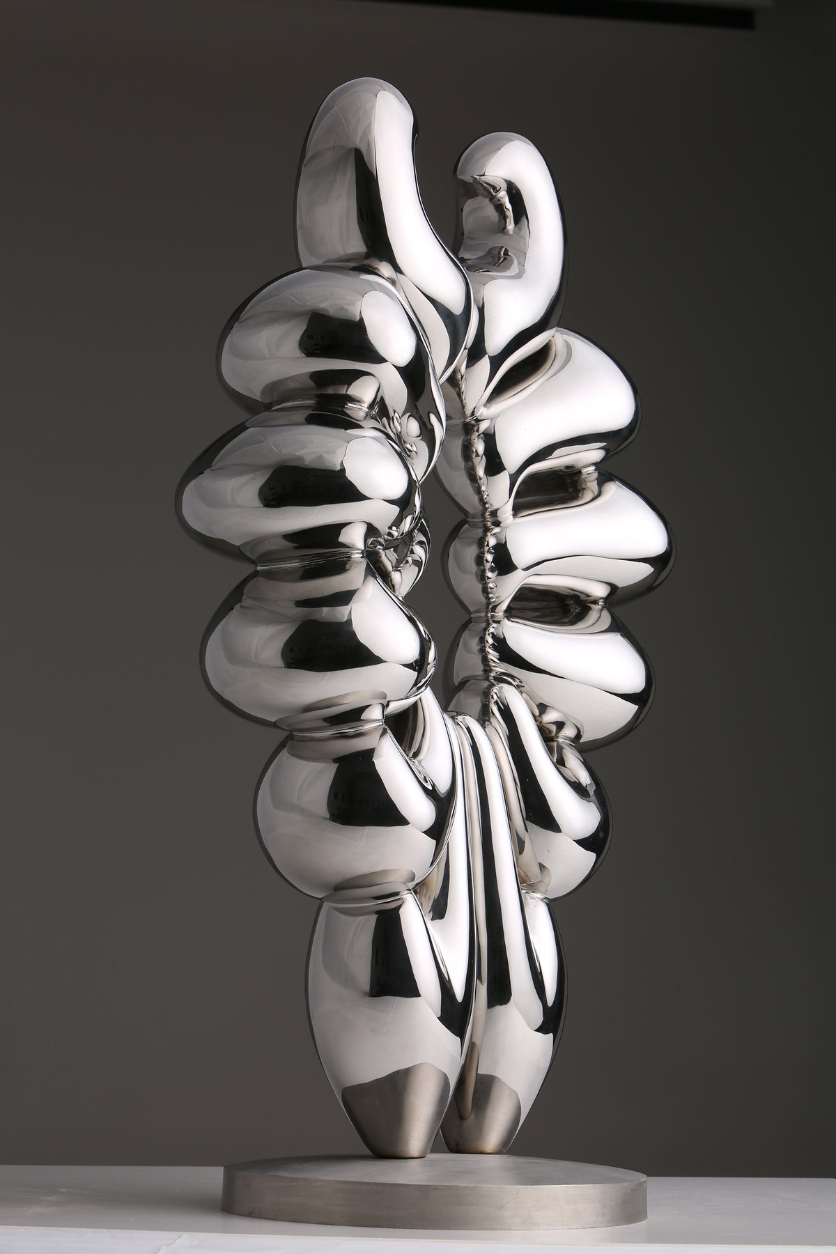 Duality of Life, studio photograph, view 3
