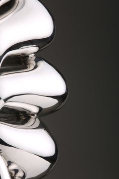 Duality of Life, studio photograph, view 4