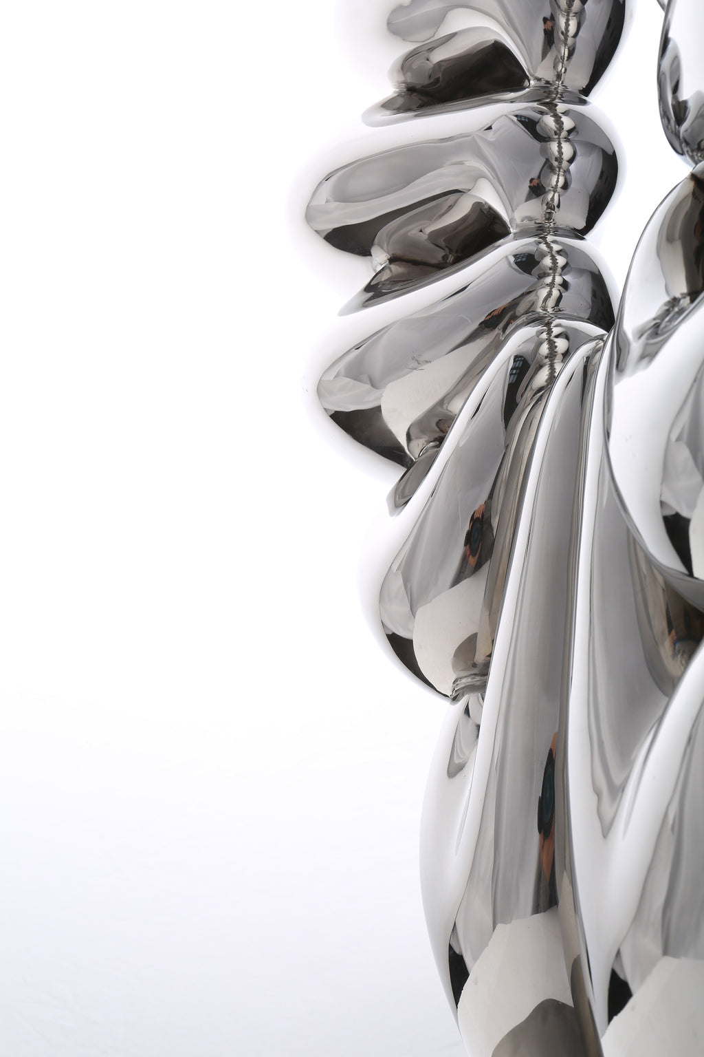 Duality of Life, studio photograph, view 5