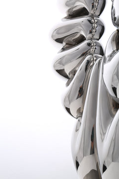 Duality of Life, studio photograph, view 5