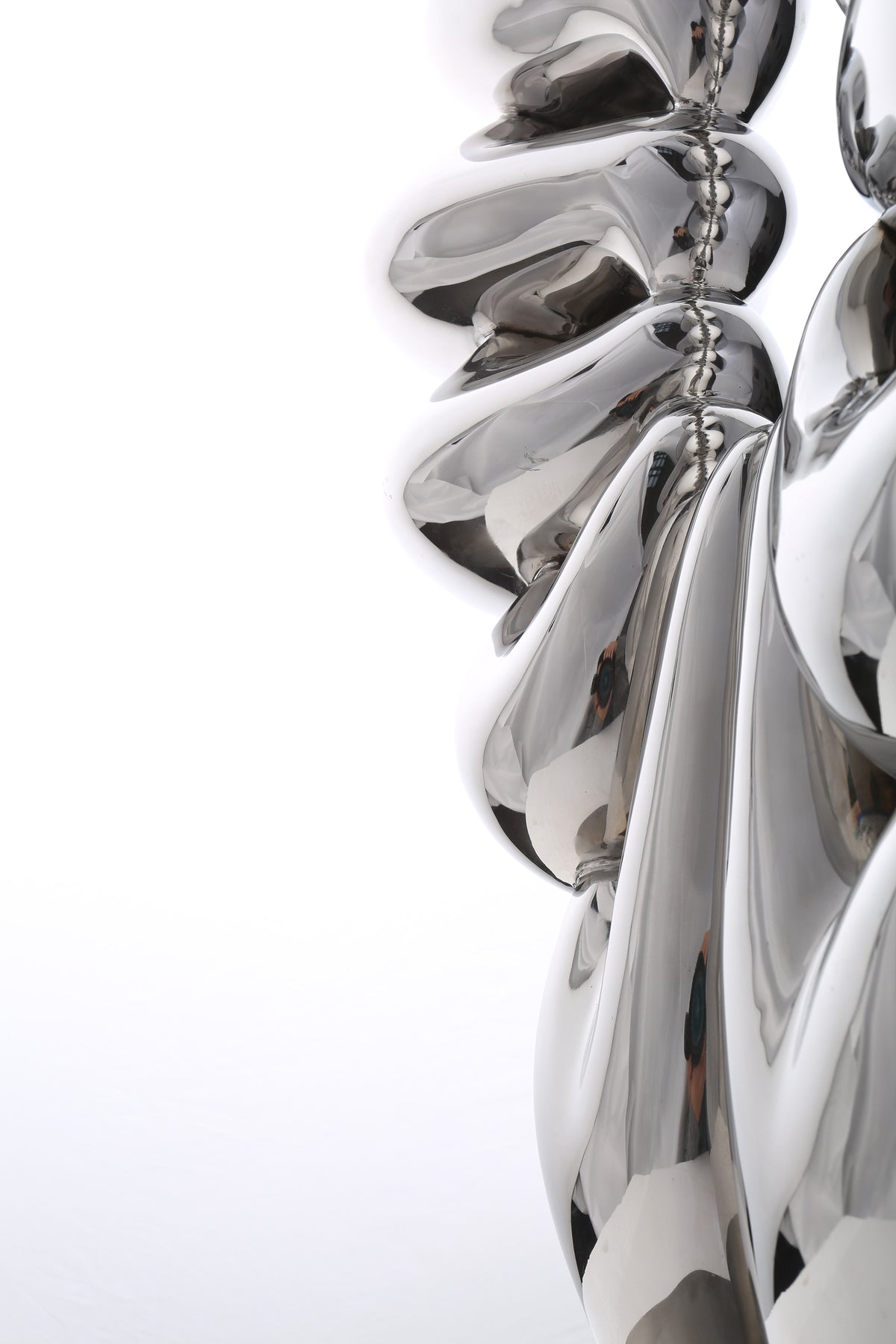 Duality of Life, studio photograph, view 5