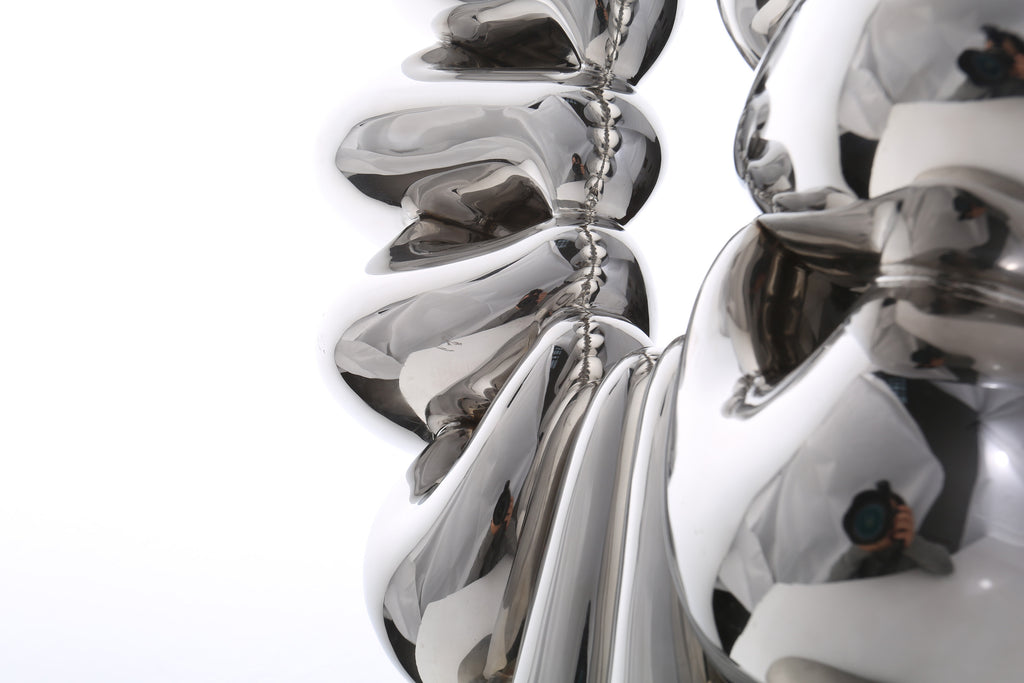 Duality of Life, studio photograph, view 6