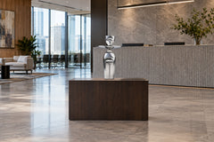 Human Form, digital environment composite: Company Reception