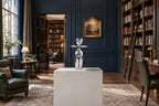 Human Form, digital environment composite: Cultural Hospitality Space
