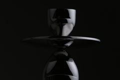 Human Form, studio photograph, view 2
