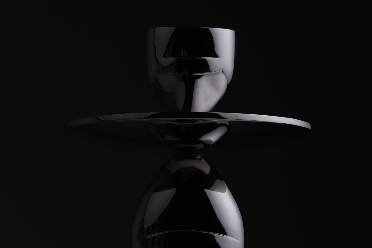 Human Form, studio photograph, view 2