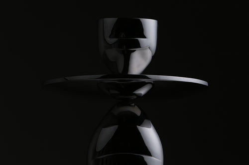 Human Form, studio photograph, view 2