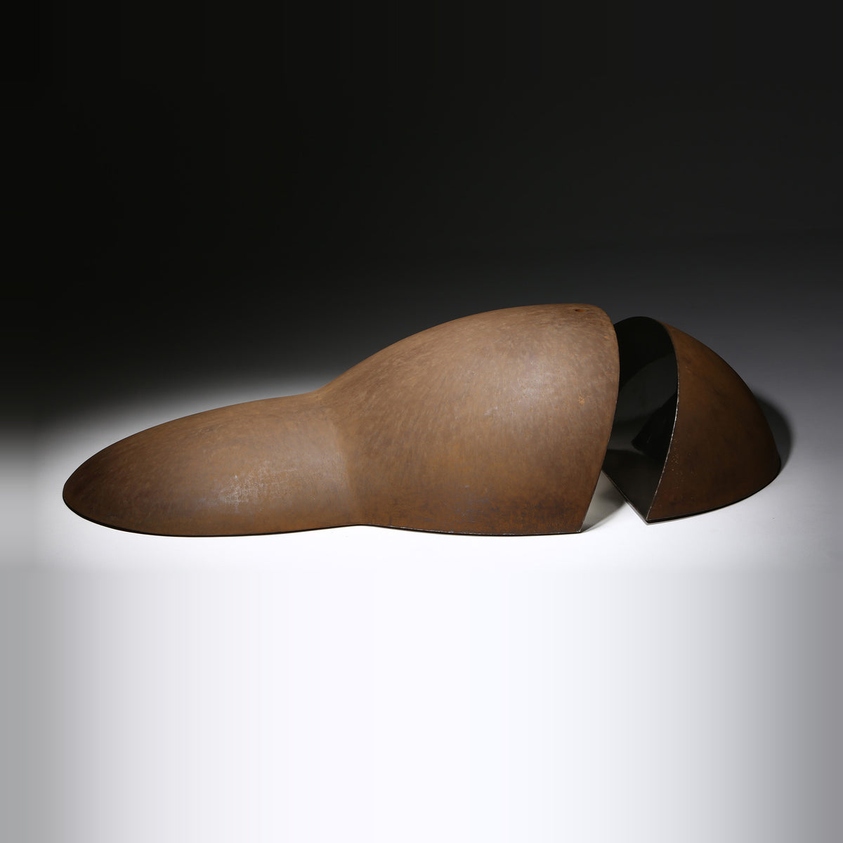 Tension Within — original studio photograph, square composition