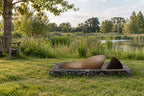 Tension Within, digital environment composite: Grass Meadow